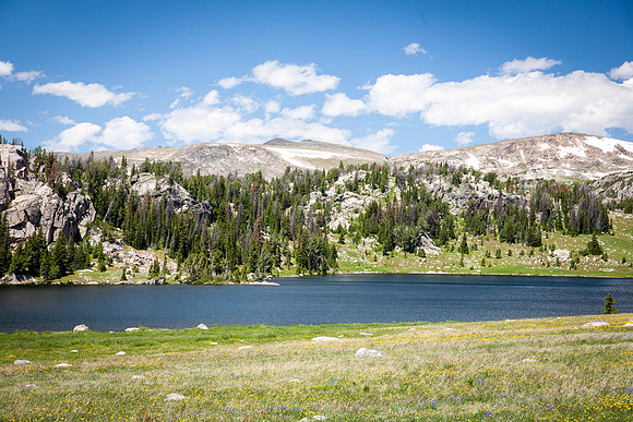 Montana-3209
