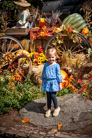 Dollywood-10-7-2013-14
