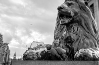 London2016-2825