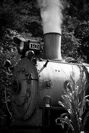 Dollywood-10-7-2013-16