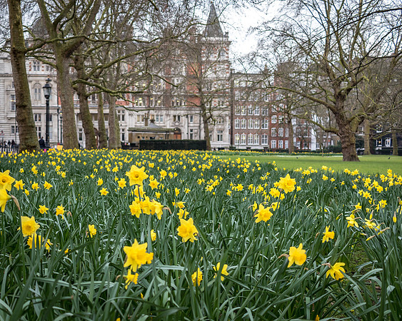 London2016-3206