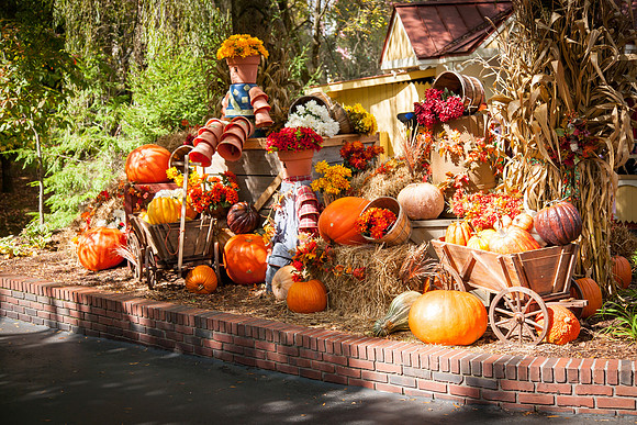 Dollywood-10-7-2013-17