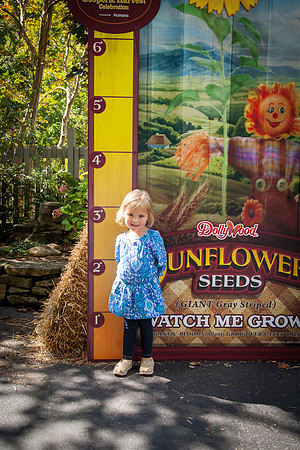 Dollywood-10-7-2013-22
