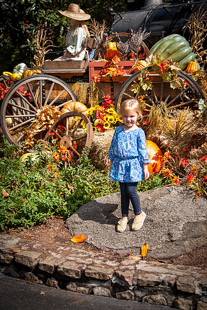 Dollywood-10-7-2013-15