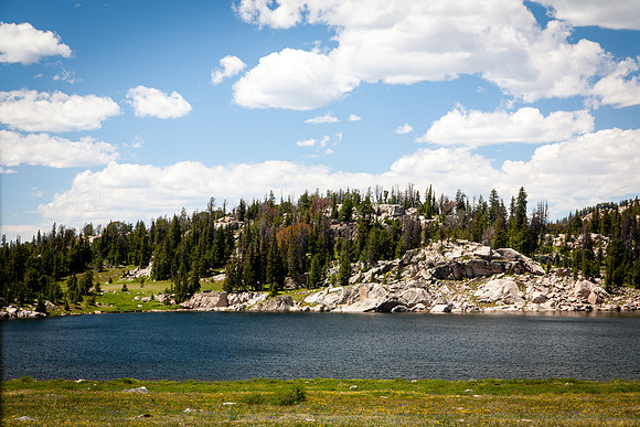 Montana-3208