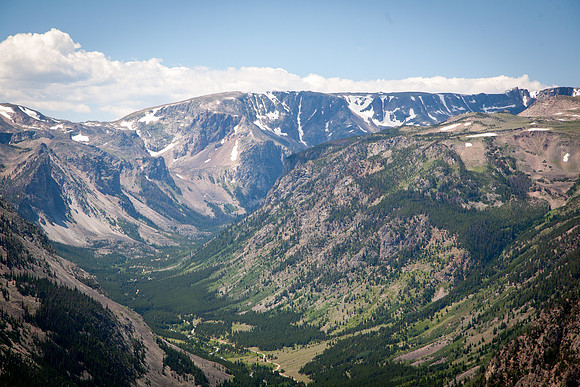 Montana-3119