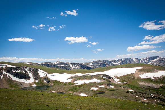 Montana-3169