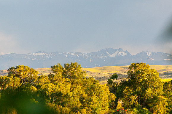 Montana-2520